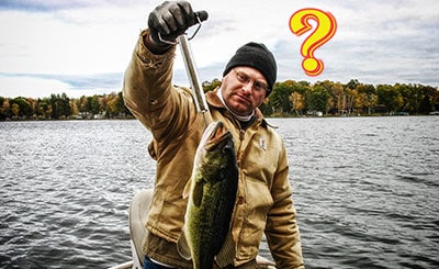 How Long Do Bass Live, and Other Amazing Bass Facts – Go Midwest Fishing