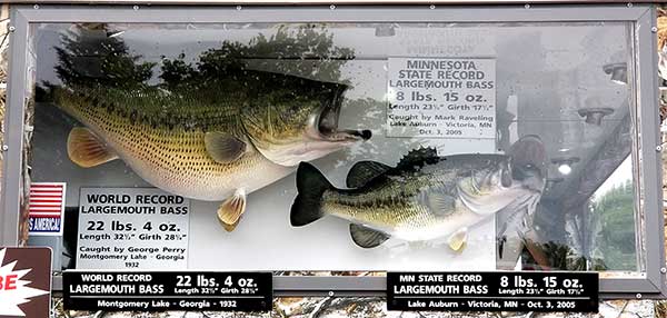 [Linked Image from gomidwestfishing.com]
