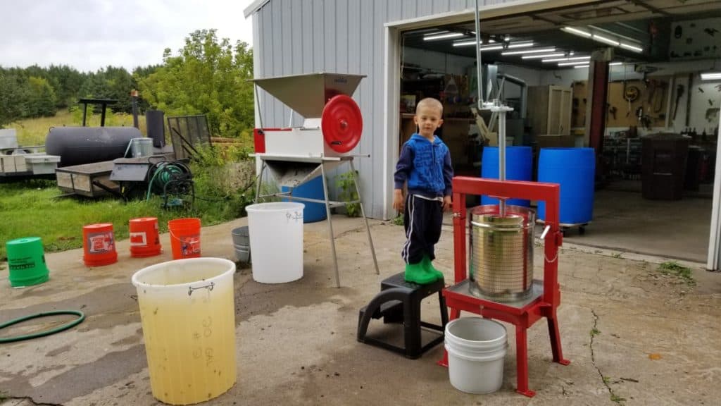 pressing grapes