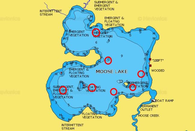 white moose lake fishing planet guide