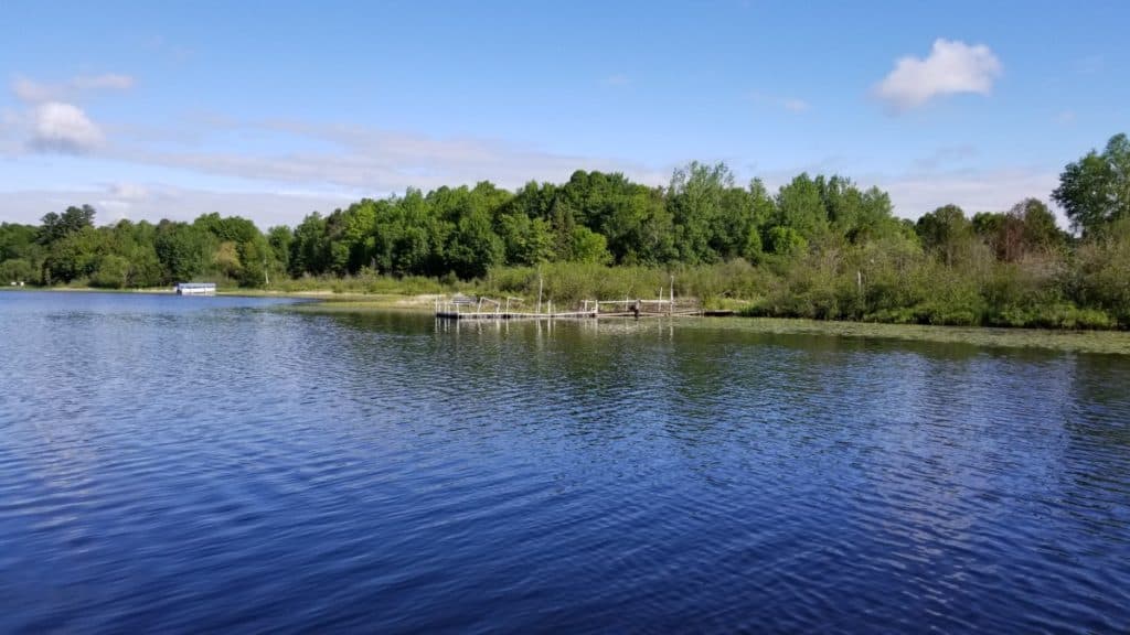 The shorelines are lines with lily pads and a good part of