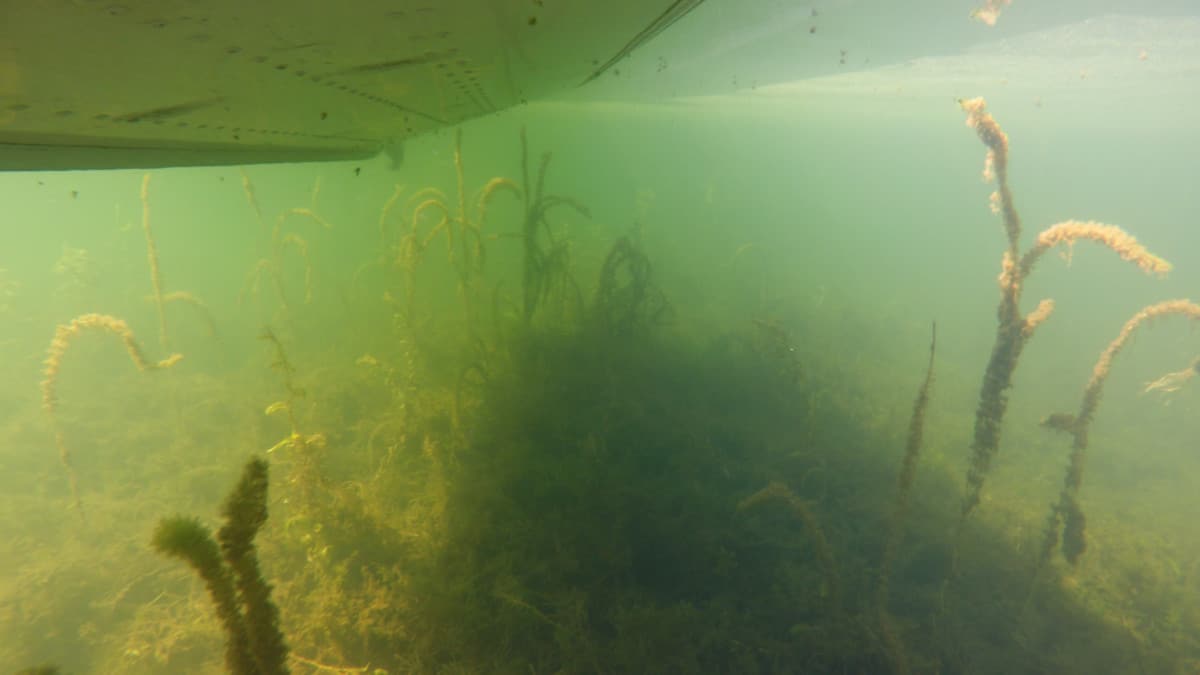 clear water under boat